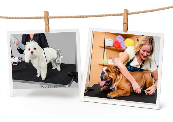 LKF Professional Dog Grooming Table Stainless Steel-2