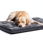 EMSLX Dog Crate Bed Plush Mat Non Slip Machine Washable-1