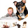 Rywell Dog Cooling Mat Gray Blue Arc-Chill Fabric Large-9