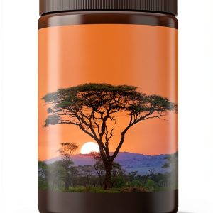 Ballantine Books Kindle eBook Fiction Literature Short Read-0