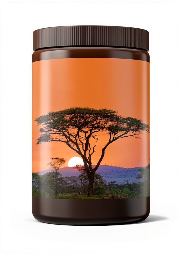 Ballantine Books Kindle eBook Fiction Literature Short Read-0